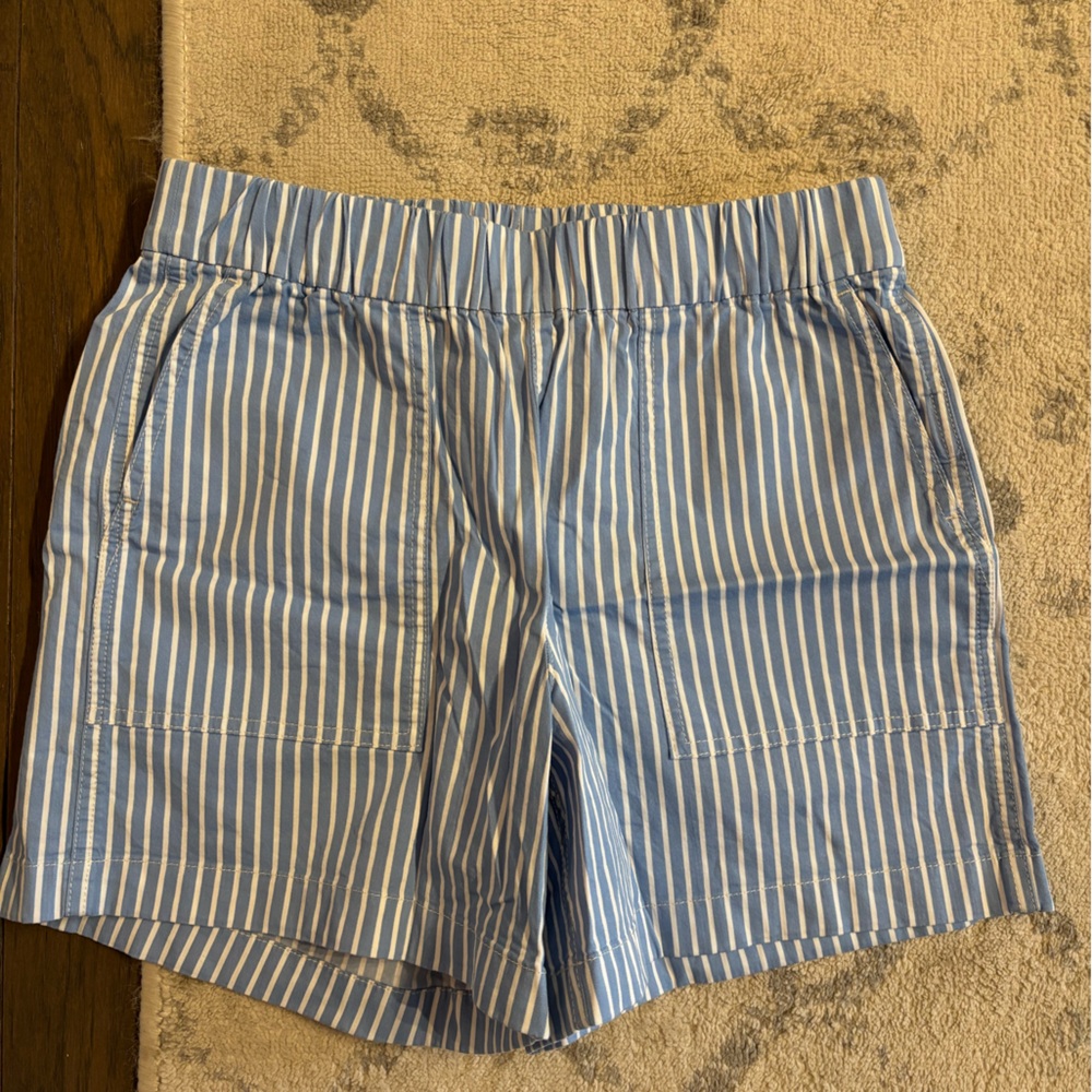 J. Crew Light Blue and White Striped Shorts